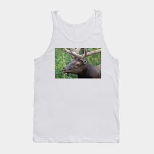 Royal in Summer Tank Top